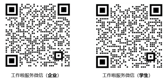 工作啦服务微信